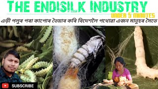 এড়ী পলুৰ পৰা কাপোৰ তৈয়াৰ কৰি বিদেশলৈ পথোৱা মানুহ জন 🤨 | Old Tradition | How to make Eri Clothes