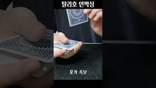 마술카드 추천 탈리호 서클백
