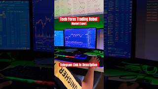 Market Expert Gold Trading Bot 100%+ Profit Lowest Drawdown Risk Management #shorts #trading #reels