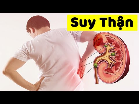 10 dấu hiệu nhận biết 2 quả Thận của bạn đang kêu cứu | Kiến Thức Hữu ích