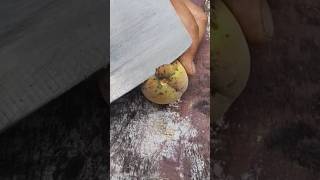 Rt 116282 mini rotary tillage and riding all in one vegetable short view #rogator #shorts