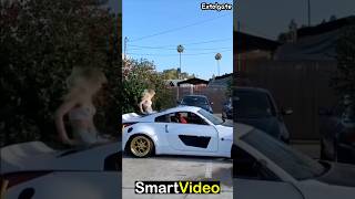 Funniest fall #funnyvideo #youtubeshorts #funnyfall #comedy #viralvideo