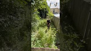 This video got over 40 million views on my other socials. What does YouTube think? #reels #lawncare