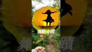 鳳姐！生活記-舞動奇蹟20250619