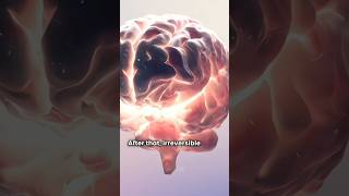 Your Brain's Countdown Without Oxygen #lifefacts #facts #shorts