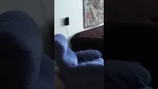 家裡鬧鬼了！😱😱😱 #恐怖 #靈異 #靈異事件 #探靈 #怪現象 #ghost #驚恐症 #horror #scary #paranormal