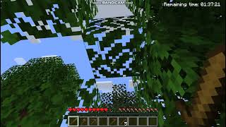 Minecraft Java demo test