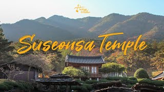 [Playlist] Lotus Field of Suseonsa with K-Drama OST | Haegeum 4K ASMR | Heritage Window Ep.4