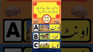 #UrduLoverQuiz #UrduQuiz #QuizeTime #IslamicQuiz #youtube #funQuiz #fyp #forypu  #tech #smartphone