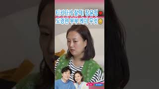 티키타카 찰떡! 장윤정♥도경완 부부 케미 무엇😊#장윤정#도경완#도연우 #도하영#내아이의사생활#미스터트롯3#미스트롯 3