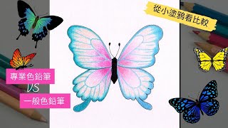 專業色鉛筆與一般色鉛筆比較