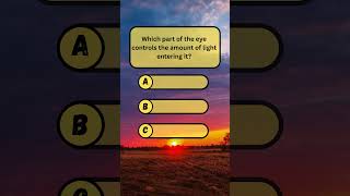Can You Pass This English Quiz?/ Only Geniuses Get 5/5 in This English Test!/Test Your English Quiz