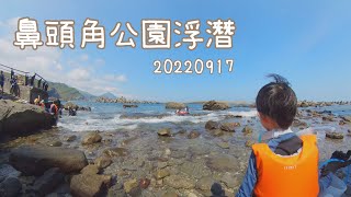 [小斑馬出去玩] 2022 | 鼻頭角公園 | 浮潛 | 浪好大水好濁 | 軟絲好可愛