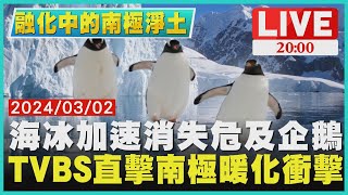【2000融化中的南極淨土】海冰加速消失危及企鵝　TVBS直擊南極暖化衝擊