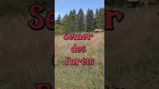 Semer des Forêts ! #jardin  #forêt