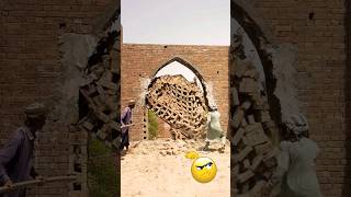 #comedy WOLLIWOD ##@####################22222