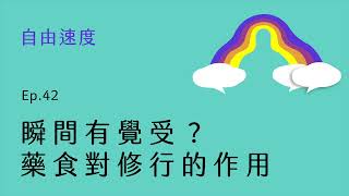 瞬間有覺受？藥食對修行的作用｜自由速度 Ep.42
