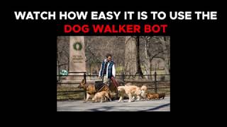 Engati Bot Marketplace - Dog Walker chatbot template