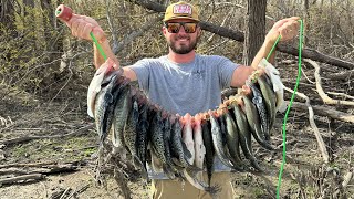 Fishing For SPAWNING CRAPPIE In The CREEK {Catch Clean Cook}