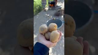 Potatoes 🥔 food Relaxing time #simplelife #farmlife #food