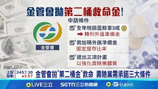 台幣急升! 壽險業匯損壓力大 存股族受波及 金管會拋"第二桶金"救命 壽險業需承諾三大條件│記者 劉馥慈 陳識雄│台灣要聞20250703│三立iNEWS