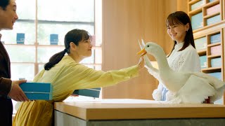 あなたによりそうがん保険 ミライト　最適な安心篇