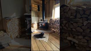 Off Grid Cabin UK #offgrid #logcabin #tinyhome #homestead