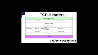 TCP Options #tcp #tcpip #header