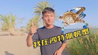 《沙特阿拉伯》第3集：听说这里的兰花蟹随便抓就爆桶，于是我带好了桶 #环球旅行 #沙特阿拉伯 #抓螃蟹 #自驾