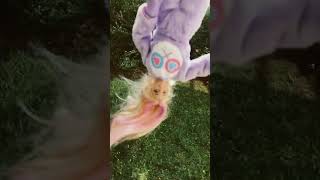 Moja nowa lalka #lalka #barbiedoll #barbie #fiolet #bear #miś