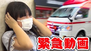【緊急動画】愛犬のレオくんが大ケガして動物病院に搬送しました！ - はねまりチャンネル
