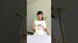 Can a showerhead be made out of leaves? #shorts #funny