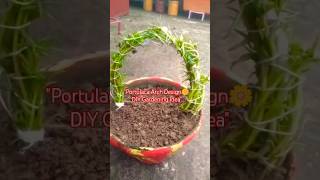 Portulaca Arch Design DIY Gardening idea💡#trending #shorts #viral #diy #diycrafts #ytshorts