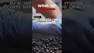 WINE 101: Are white wine made from white grapes?
