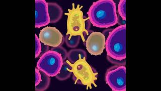 What is tumor necrosis factor alpha (TNFa)?
