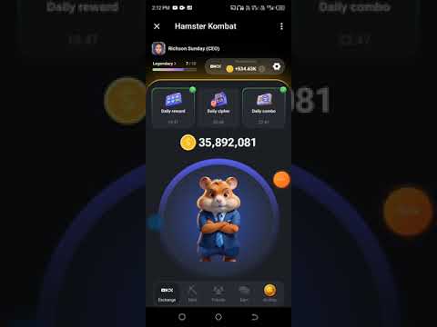 hamster Kombat daily combo card for the 29th of June, cards to claim the 5 million coins on hamster