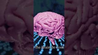 "The Human Brain A Mystery Beyond Imagination😯