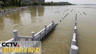 《国际财经报道》江西：鄱阳湖水位持续上涨 多个水文站水位超警戒 20190714 | CCTV财经