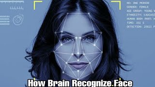 How Brain Recognize Face ? | Fusiform Face Area | Part 1 | Tamil | Hello Chandru