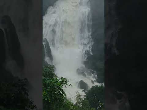 VALARA WATERFALLS #water #keralawaterfalls