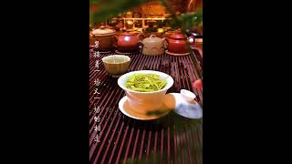 : 日子不是忍耐，就是等待。不如以茶静心，过得从容。#柒沐茶庄#茶叶 #中国茶