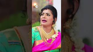#Sembaruthi #Shorts #Zeetamil #Entertainment #Romantic