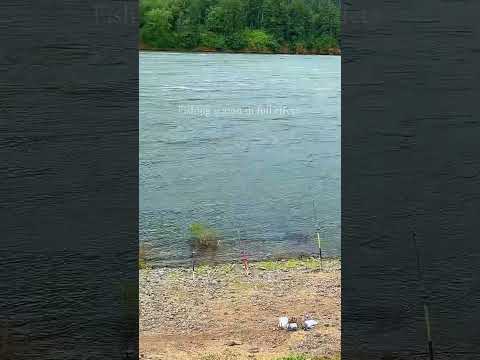 Fishing video #fishing #fishinglife #foryou