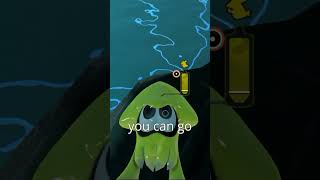 Splatoon 3 Glitches YOU can do!