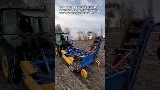 Automated Harvester Collects Carrots, Boosting Farm Efficiency.