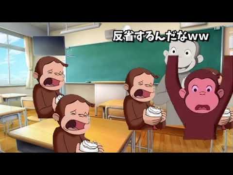 お猿の日常