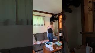 #ditl #dailyvlog #dailyreset #resetroutine