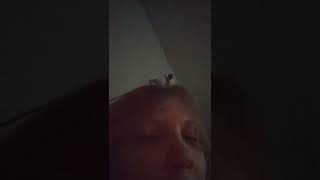 TikTok fix your problem everyone tag TikTok