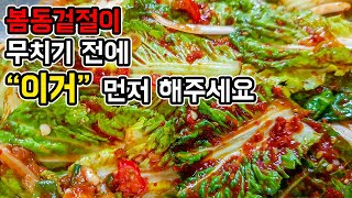 입맛 제대로 돋우는 봄동겉절이 황금레시피