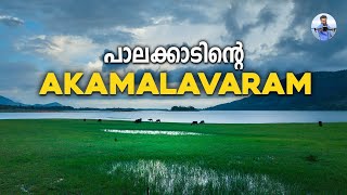 Kava | A hidden GEM of Palakkad!